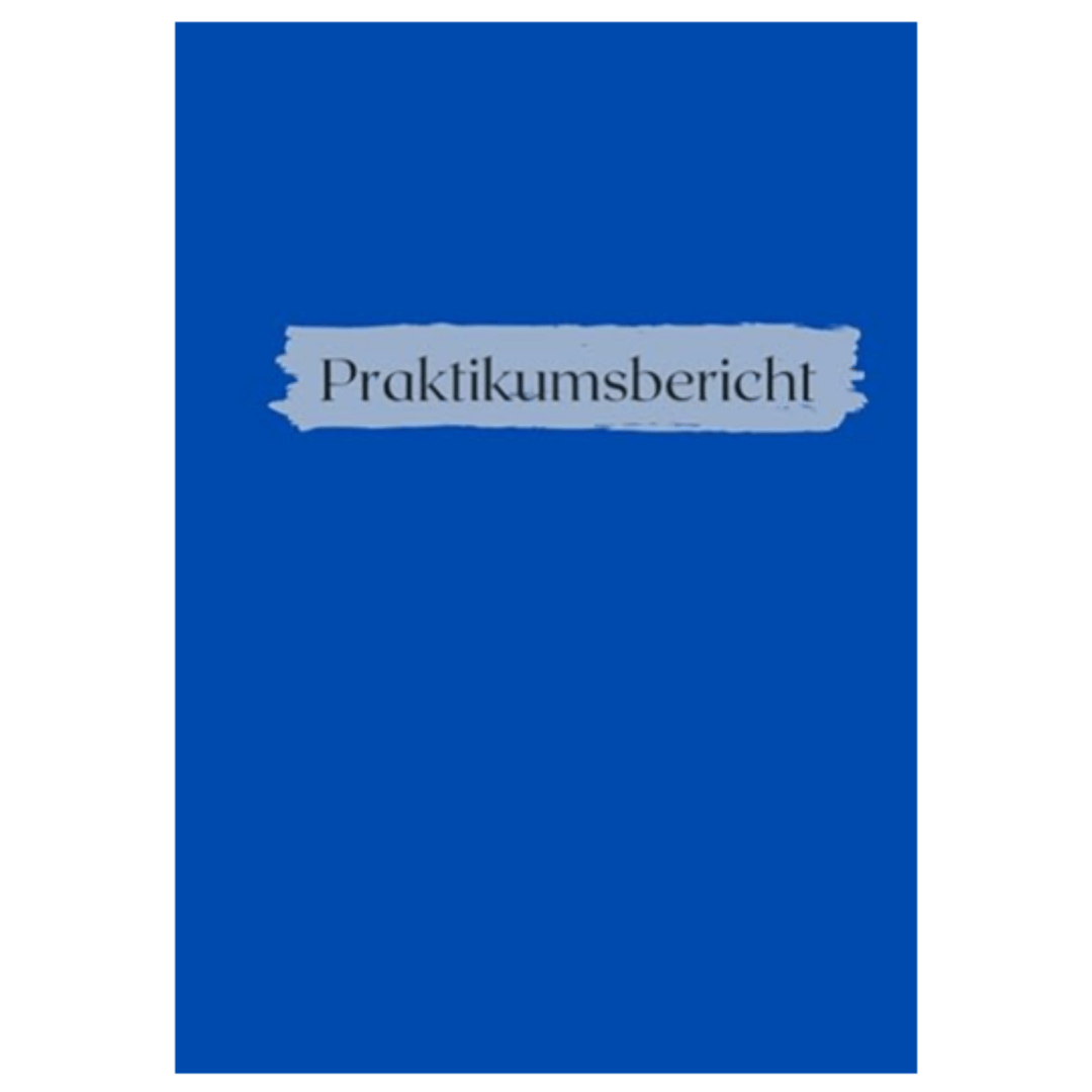 Praktikumsbericht Studium